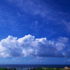 夏の朝はのっそりと・・・