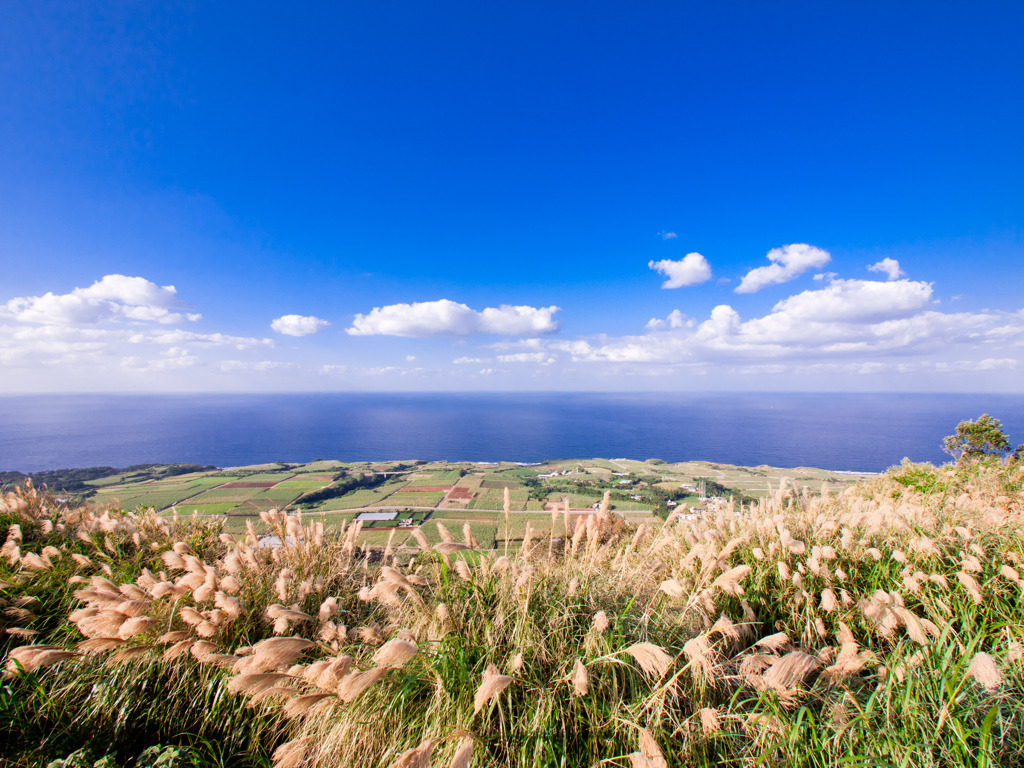 2010冬・・・南の島、ある日の空・・・