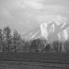 オプタテシケ-2012晩秋  《Monochrome》