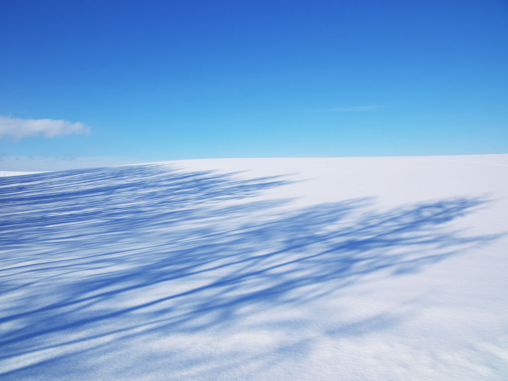 Shadows on the hill