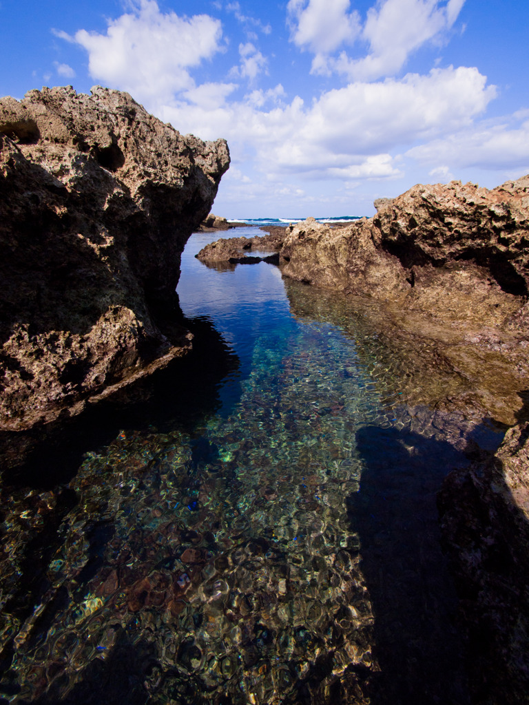 Clear Tide Pool!!　(^_^)b