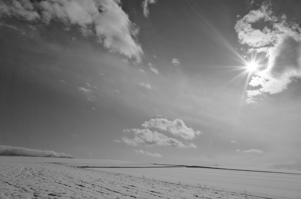 陽光-2013初冬