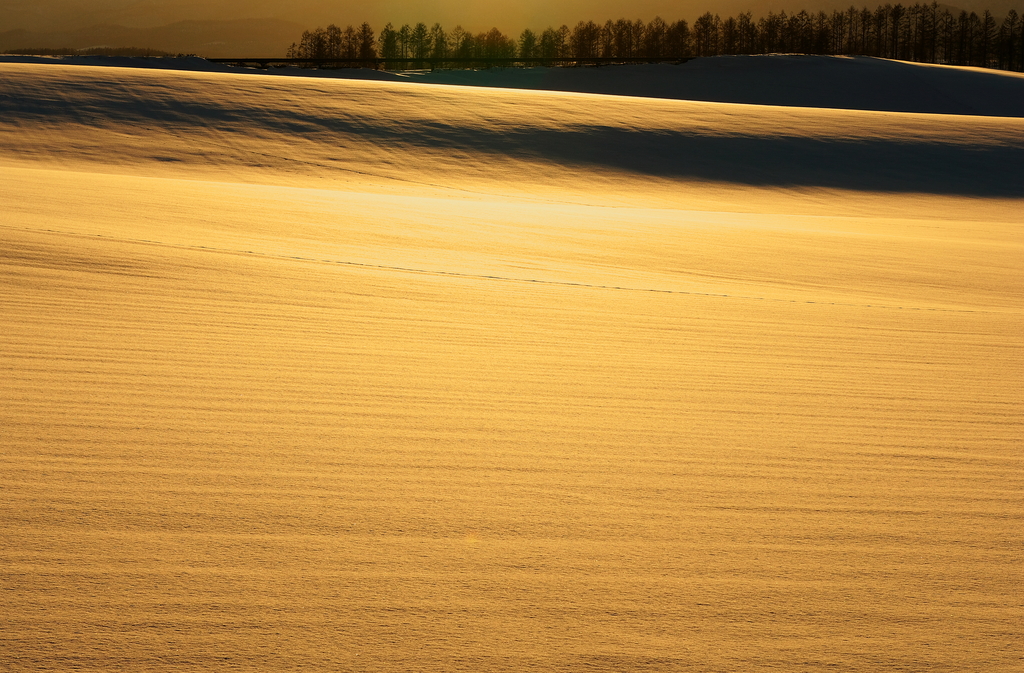 Golden Hills