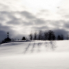 雪景色ｰ2008