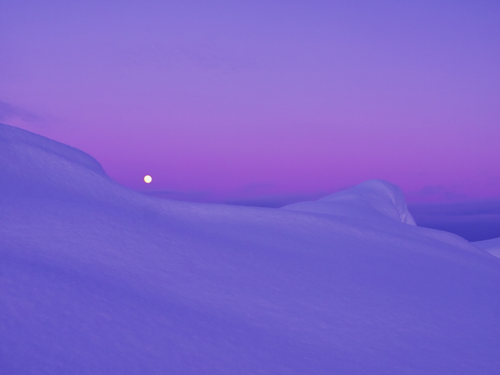 月光-2011冬