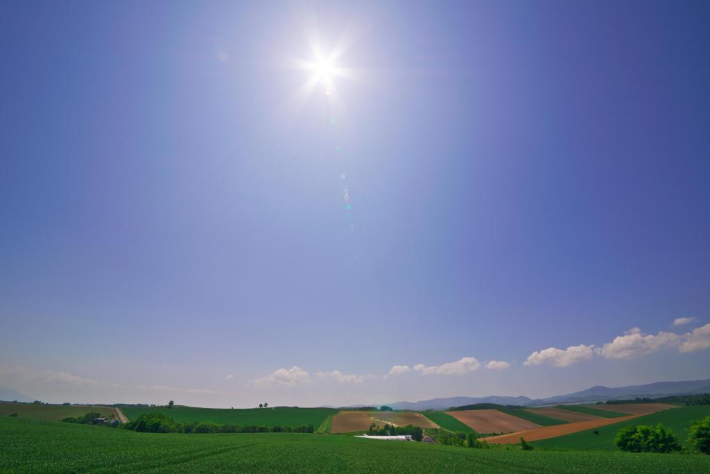 初夏がやって来た！！(^○^)