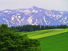 十勝岳-2011初夏