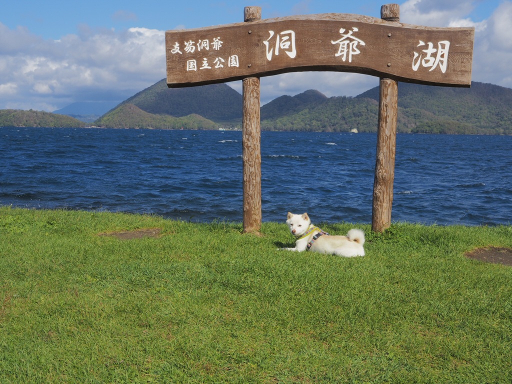 洞爺湖   ＼(^o^)／