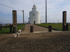 ナナ in 納沙布岬