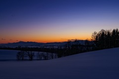 丘の冬  夕暮れ