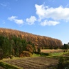北の大地ー深秋 2012
