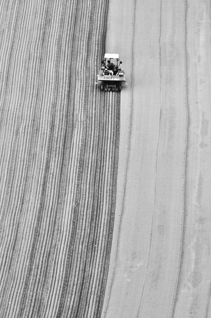 Planting season