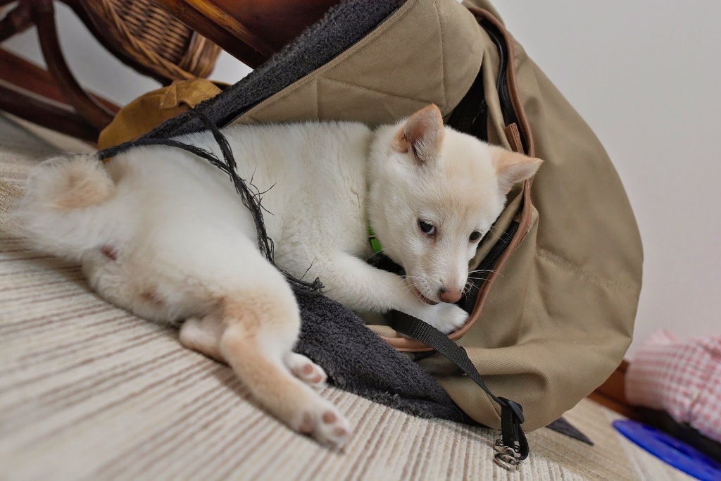 いけずぅ〜・・・ (^_^*)