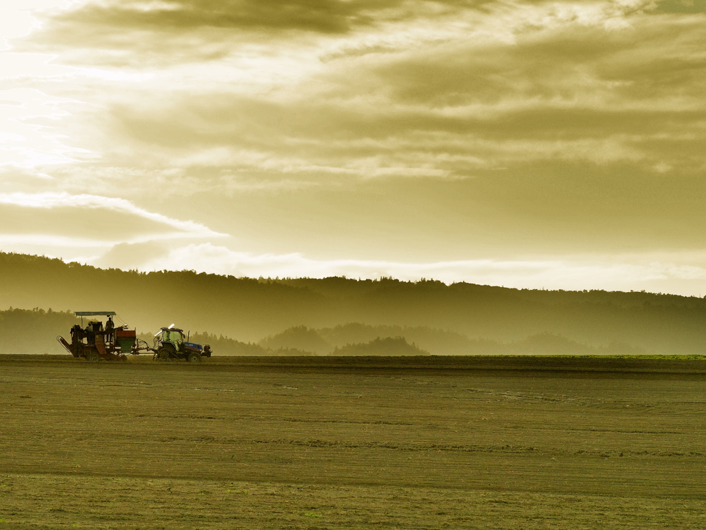 The harvest time 《E-M5版》