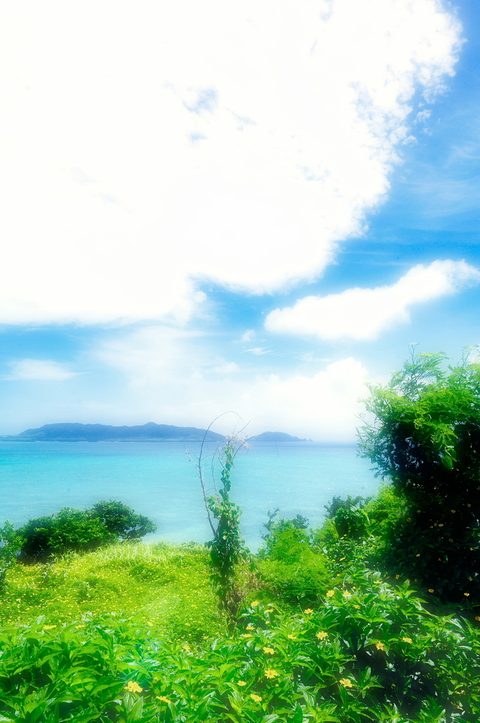 Dream of Summer