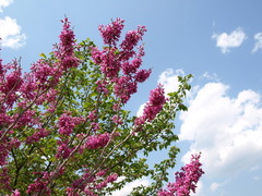 P5061808