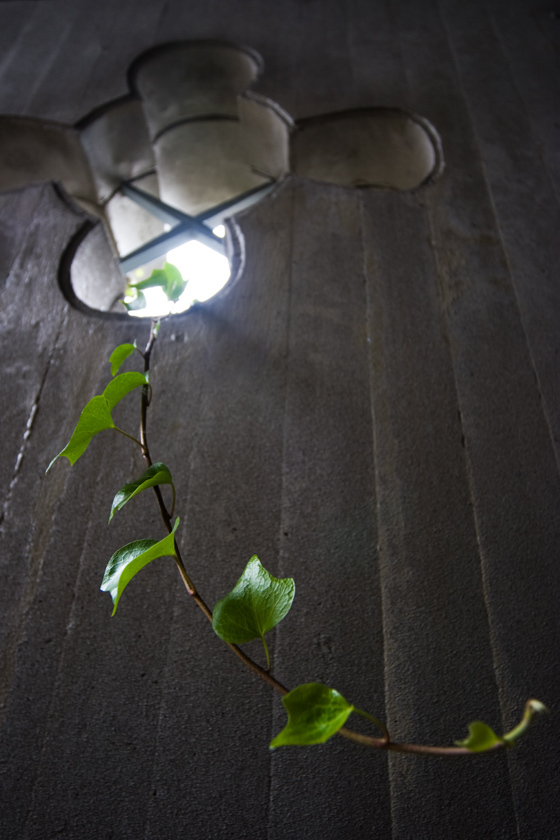 Please leave me alone.