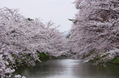 弘前公園