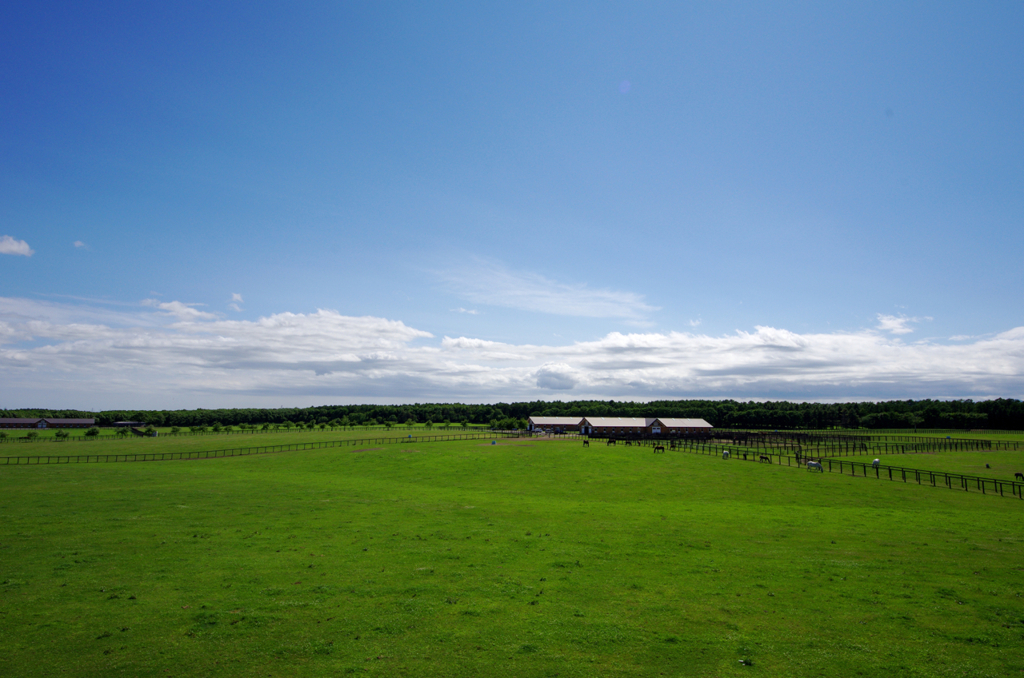 NORTHERN HORSE PARK K's Garden