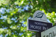 NORTHERN HORSE PARK K's Garden