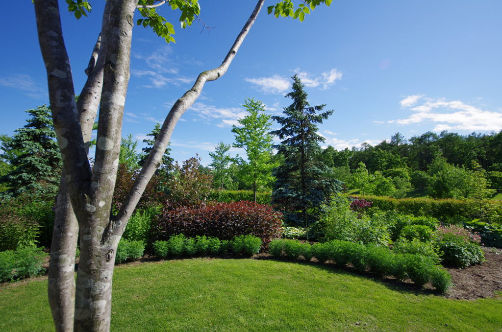 NORTHERN HORSE PARK K's Garden