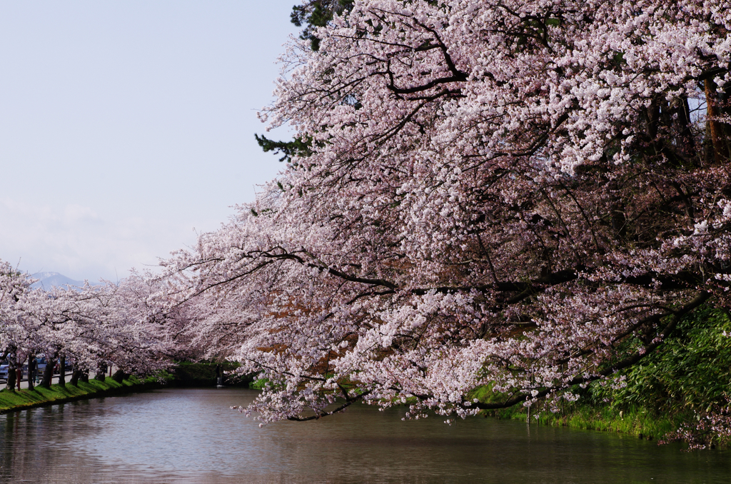弘前公園
