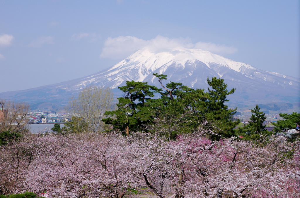 弘前公園