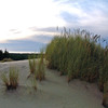 dune