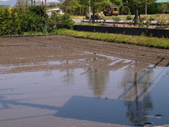 そろそろ時季ですね