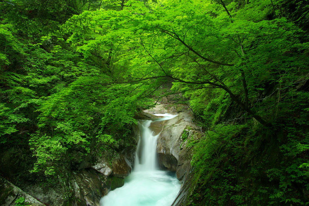貞泉の滝