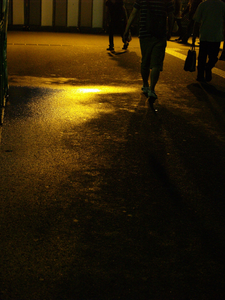 Light Your Shadow