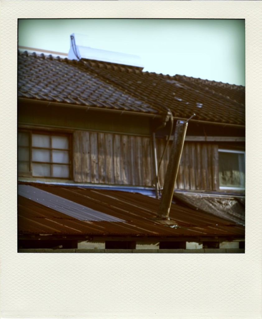pola2