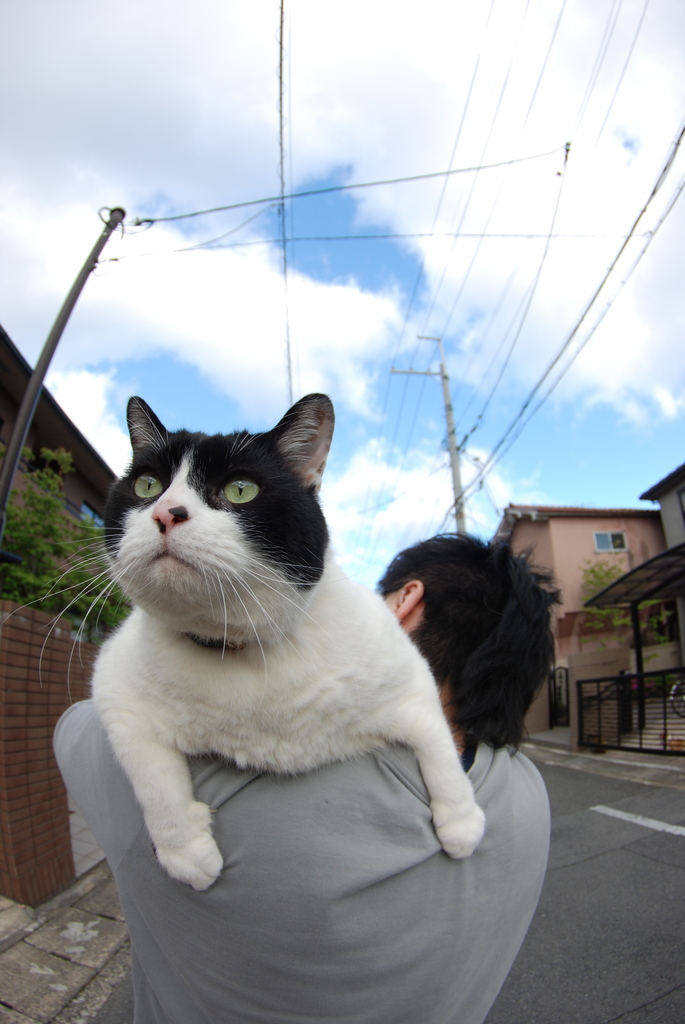 空とワープ君