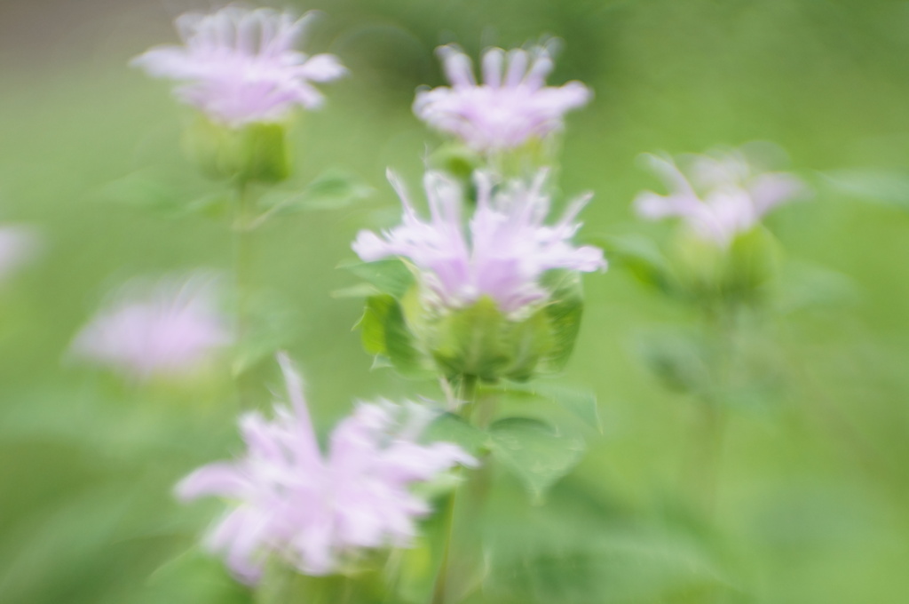 Lensbaby ダブルグラス