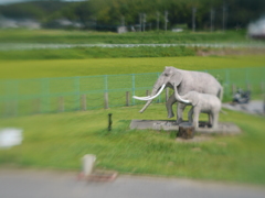 LENSBABY 試写