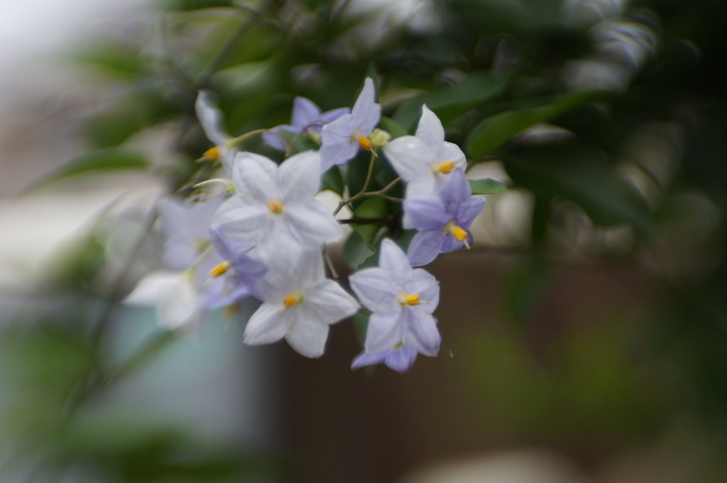 Lensbaby ダブルグラス