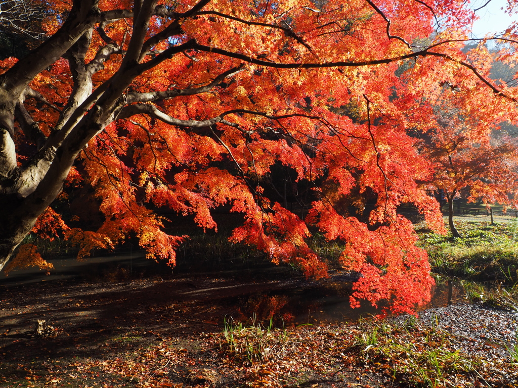 泉自然公園にて