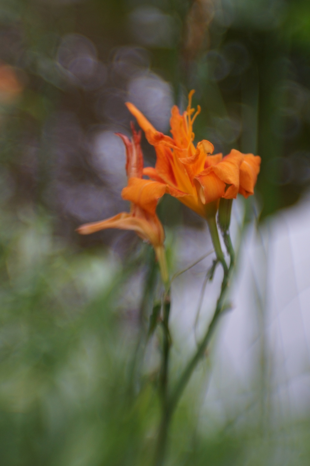 Lensbaby ダブルグラス