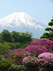 富士山