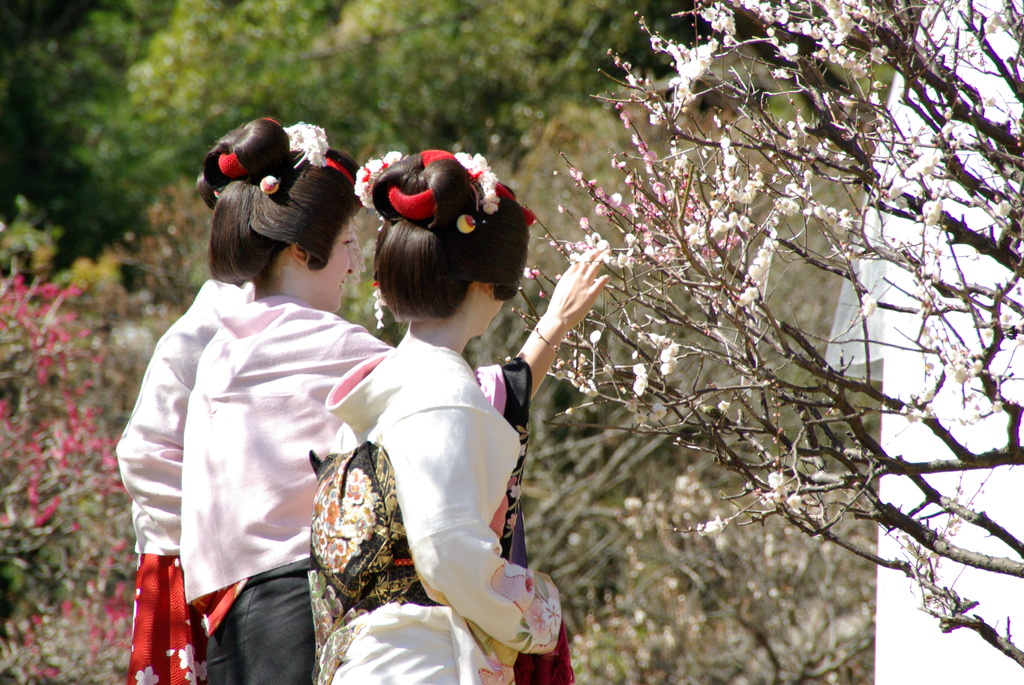 熱海梅祭り