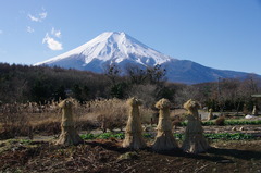 富士山