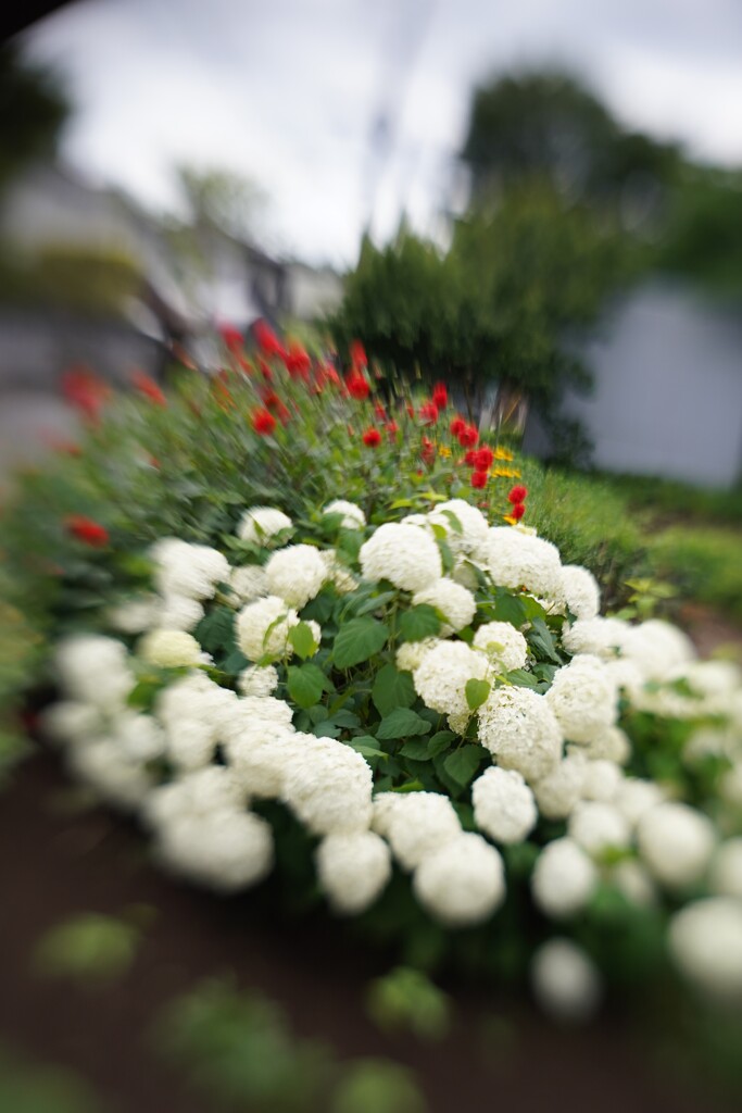 LENSBABY  ダブルグラス