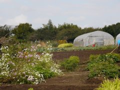 EL-NIKKOR 50mm　試写