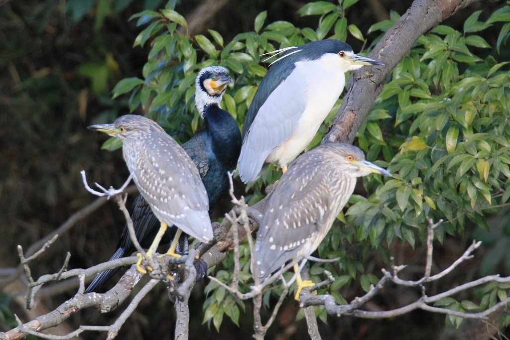 家の近くの池の状況