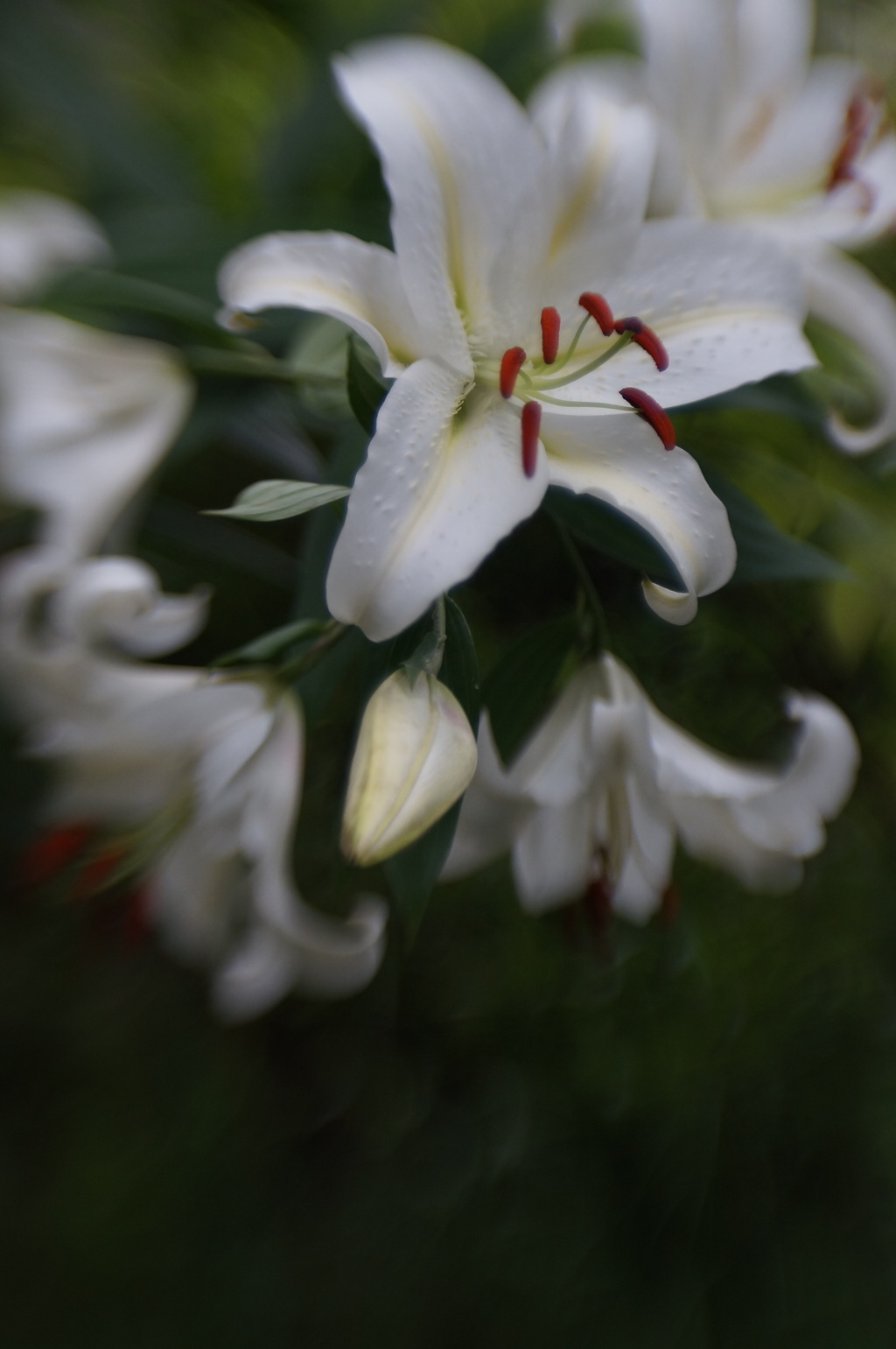 Lensbaby ダブルグラス