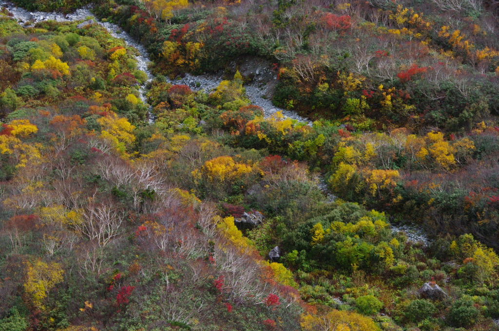 立山黒部アルペンルートの紅葉