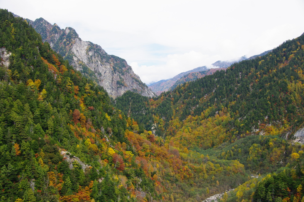 立山黒部アルペンルートの紅葉