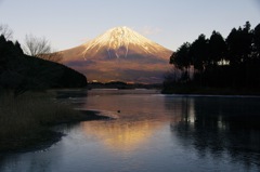 田貫湖からの富士(通常）