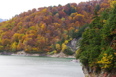 立山黒部アルペンルートの紅葉