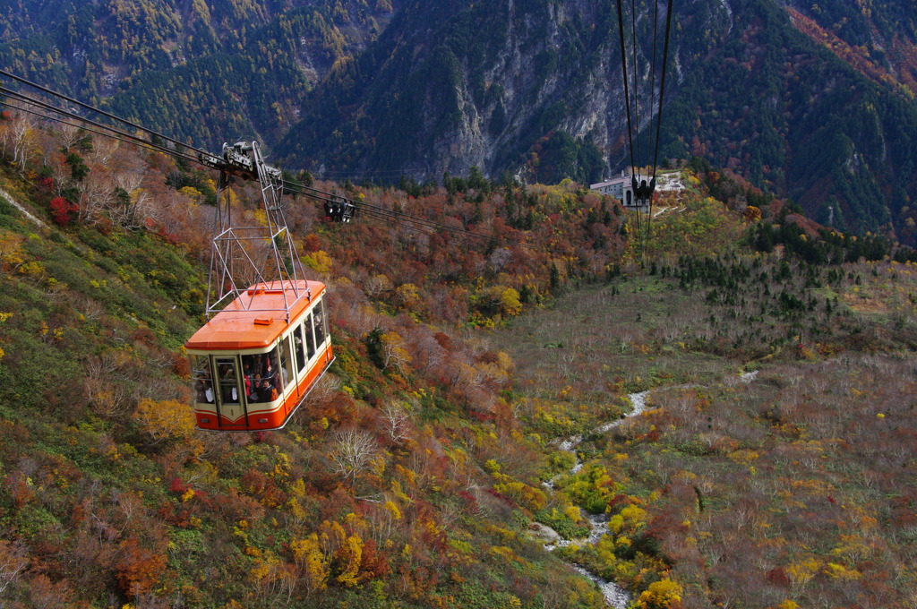 立山黒部アルペンルートの紅葉